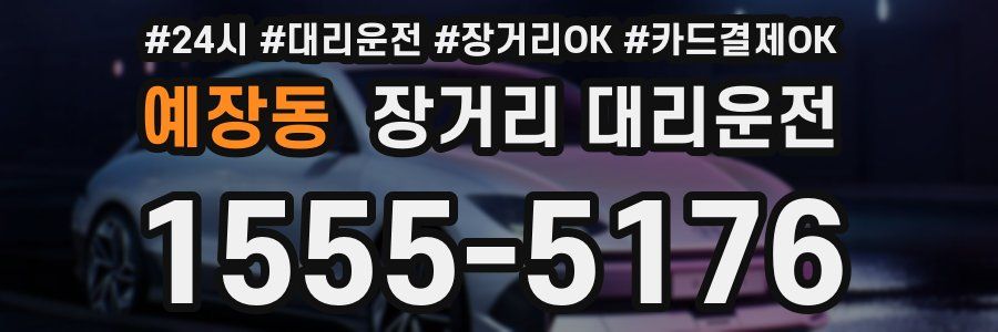 예장동 장거리 대리운전