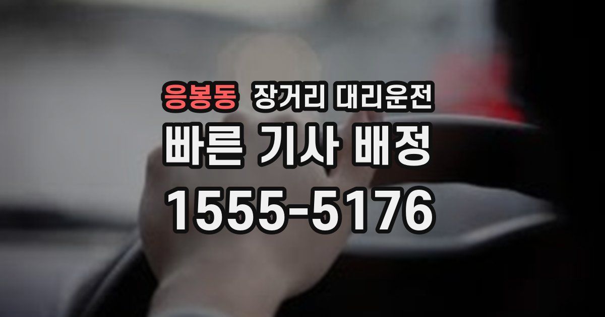 응봉동 장거리 대리운전