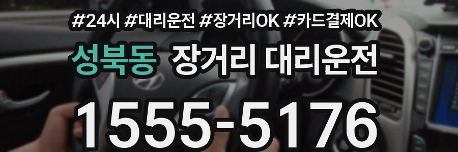 성북동 장거리 대리운전