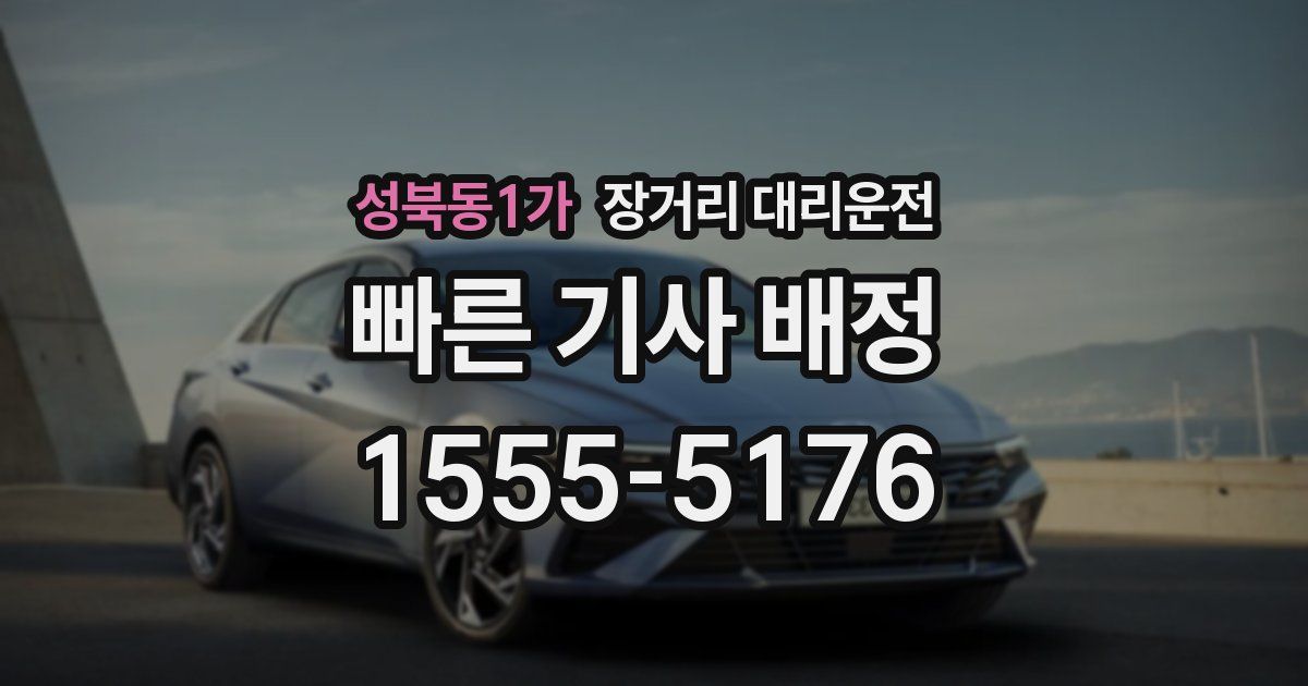 성북동1가 장거리 대리운전
