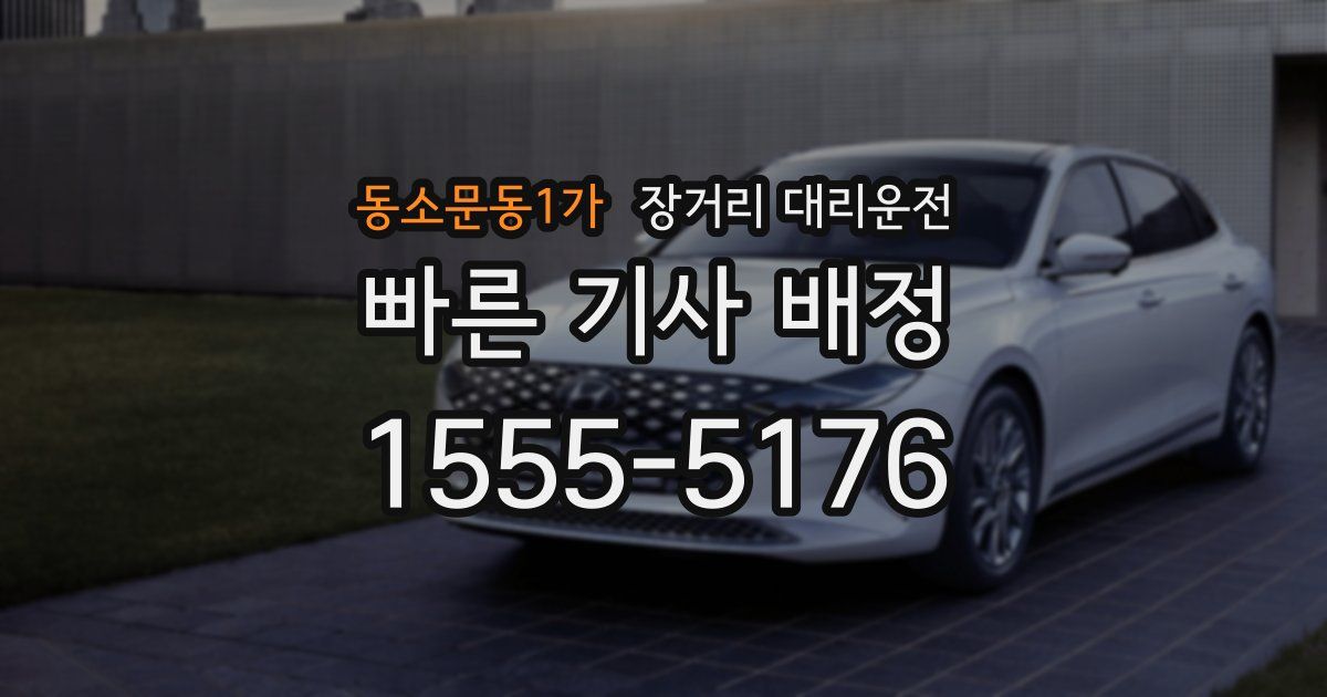 동소문동1가 장거리 대리운전