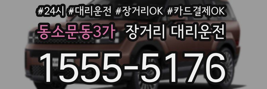 동소문동3가 장거리 대리운전