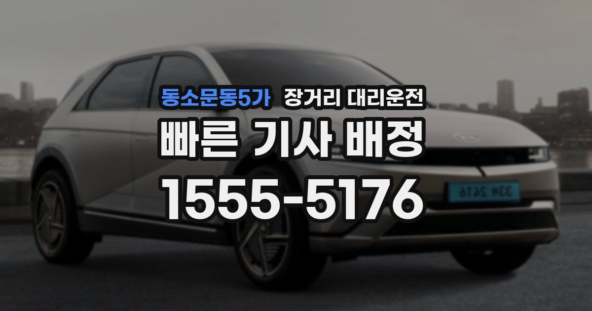 동소문동5가 장거리 대리운전