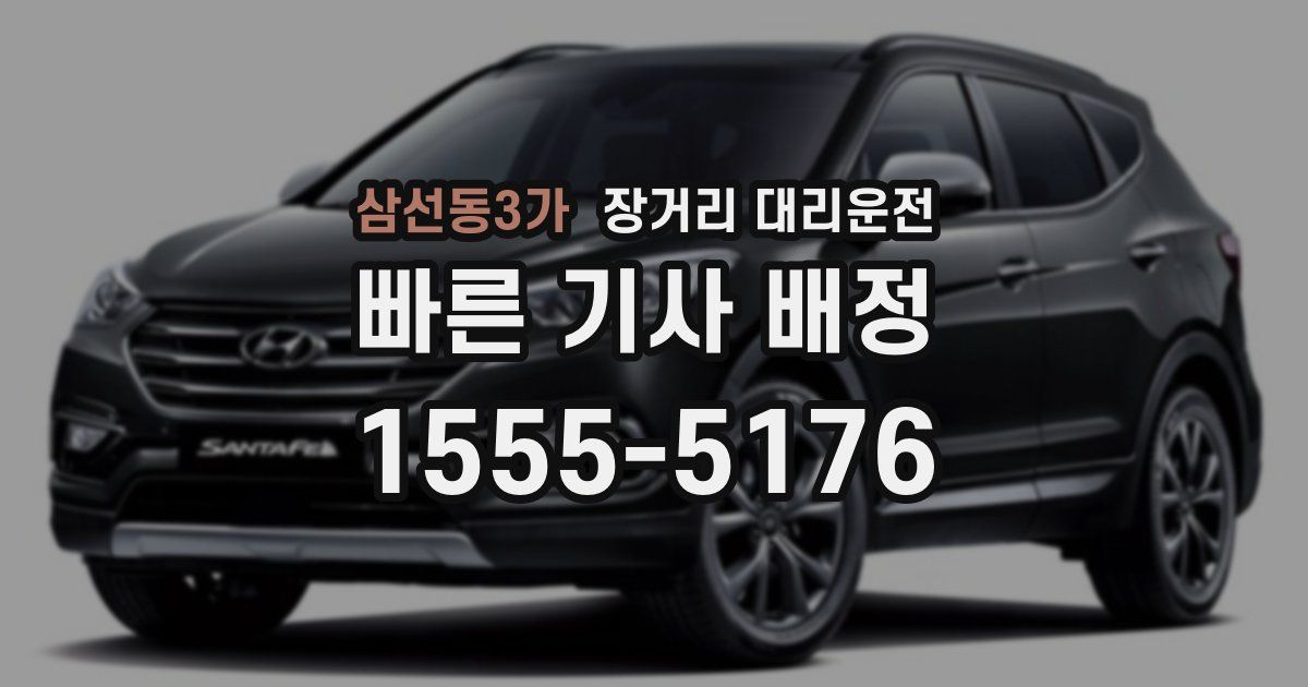 삼선동3가 장거리 대리운전