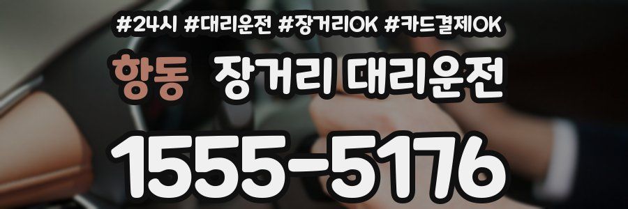 항동 장거리 대리운전