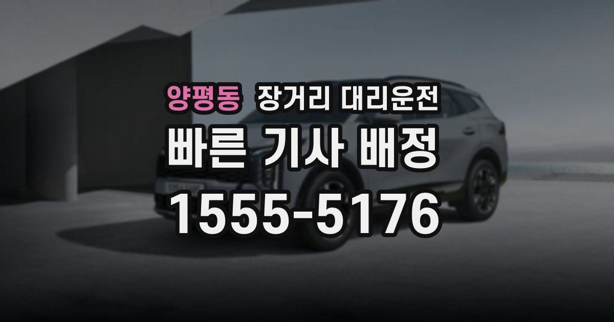양평동 장거리 대리운전