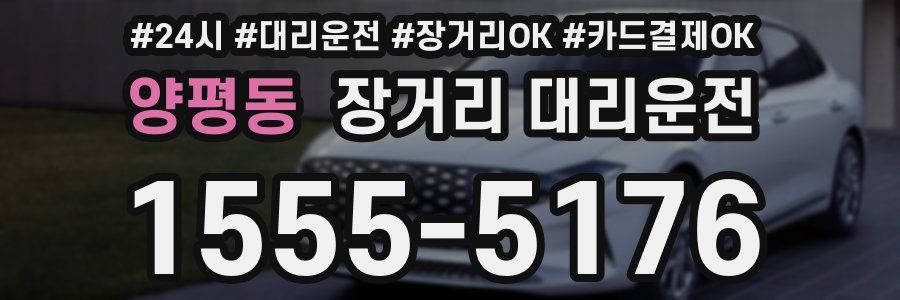 양평동 장거리 대리운전
