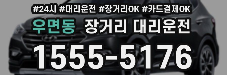 우면동 장거리 대리운전