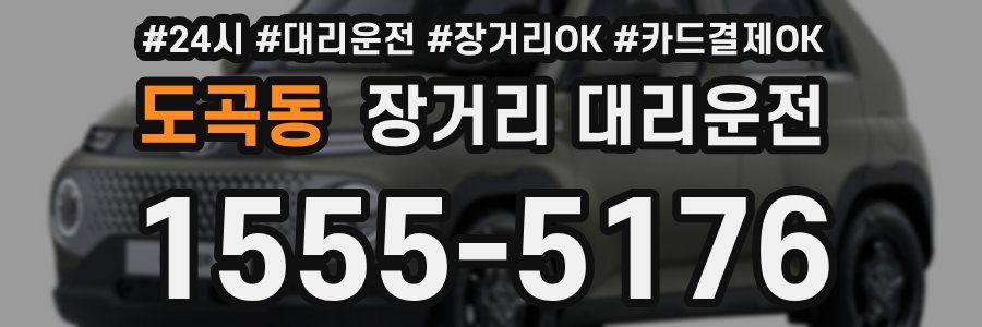 도곡동 장거리 대리운전