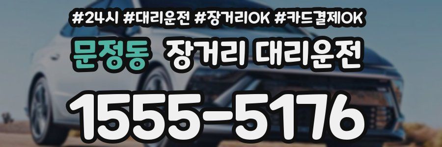 문정동 장거리 대리운전