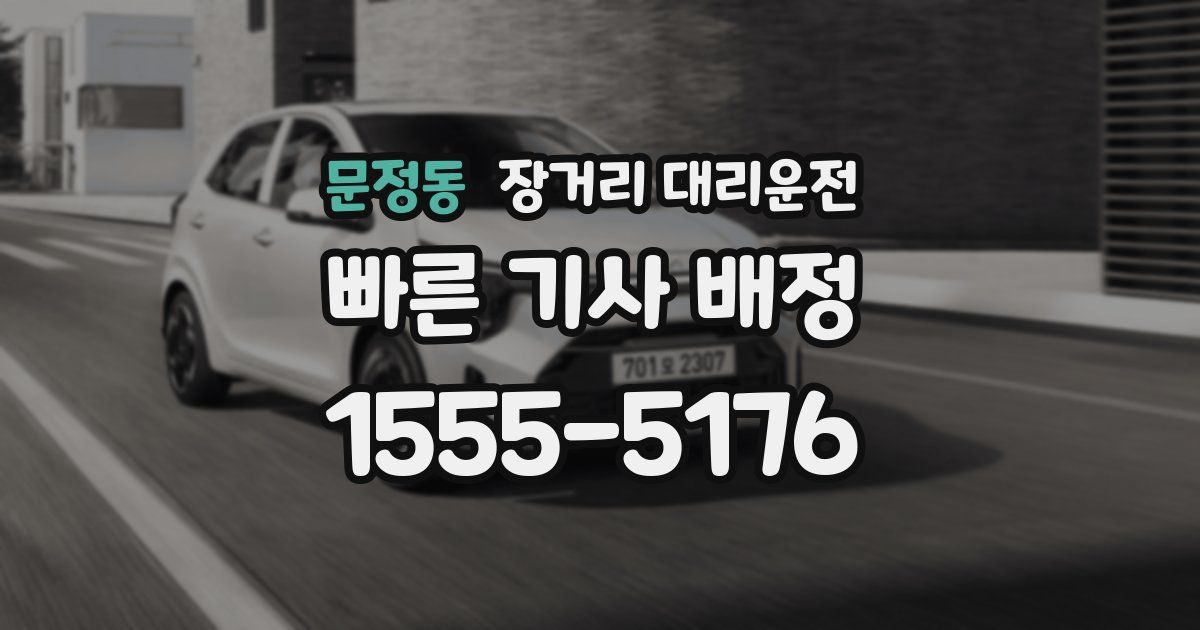 문정동 장거리 대리운전