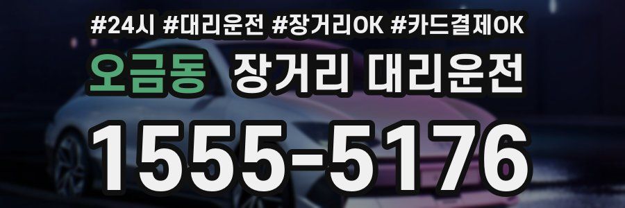 오금동 장거리 대리운전