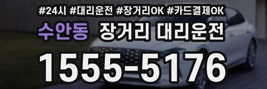 수안동 장거리 대리운전