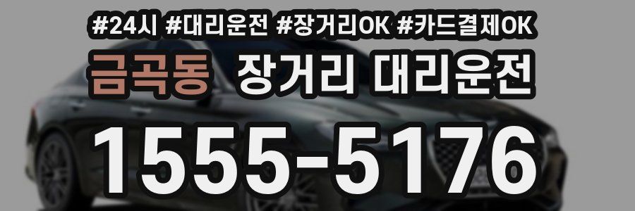 금곡동 장거리 대리운전