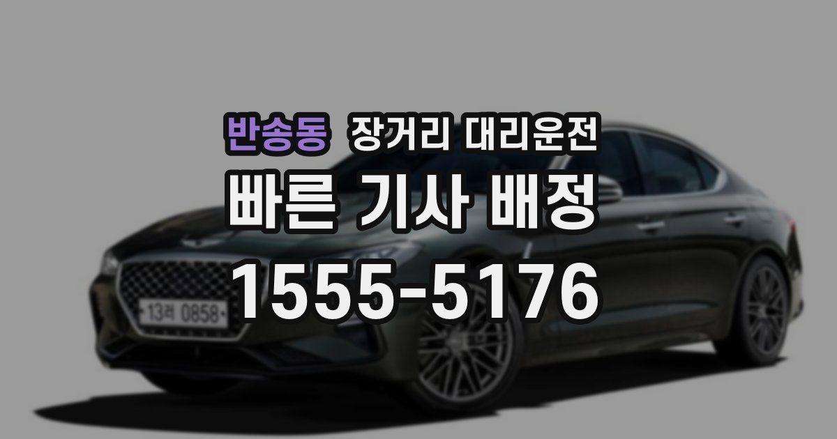 반송동 장거리 대리운전