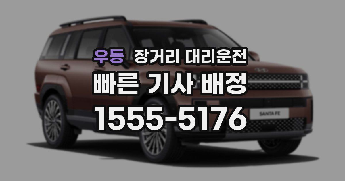 우동 장거리 대리운전