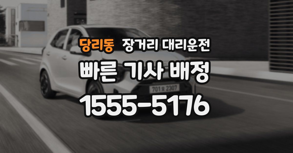 당리동 장거리 대리운전