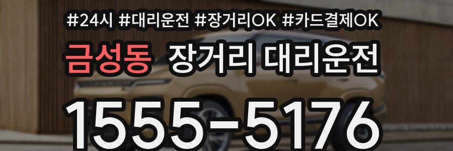 금성동 장거리 대리운전