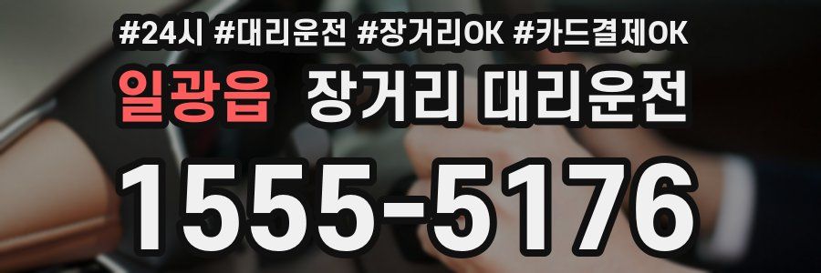 일광읍 장거리 대리운전