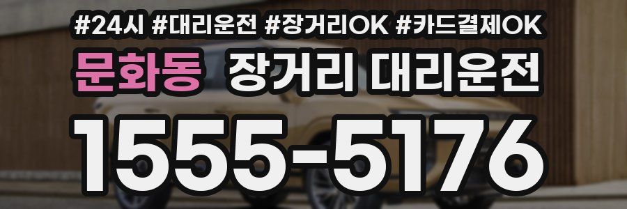문화동 장거리 대리운전