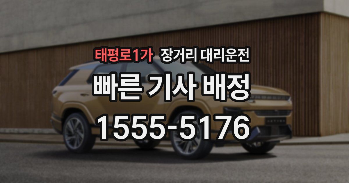 태평로1가 장거리 대리운전