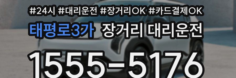 태평로3가 장거리 대리운전