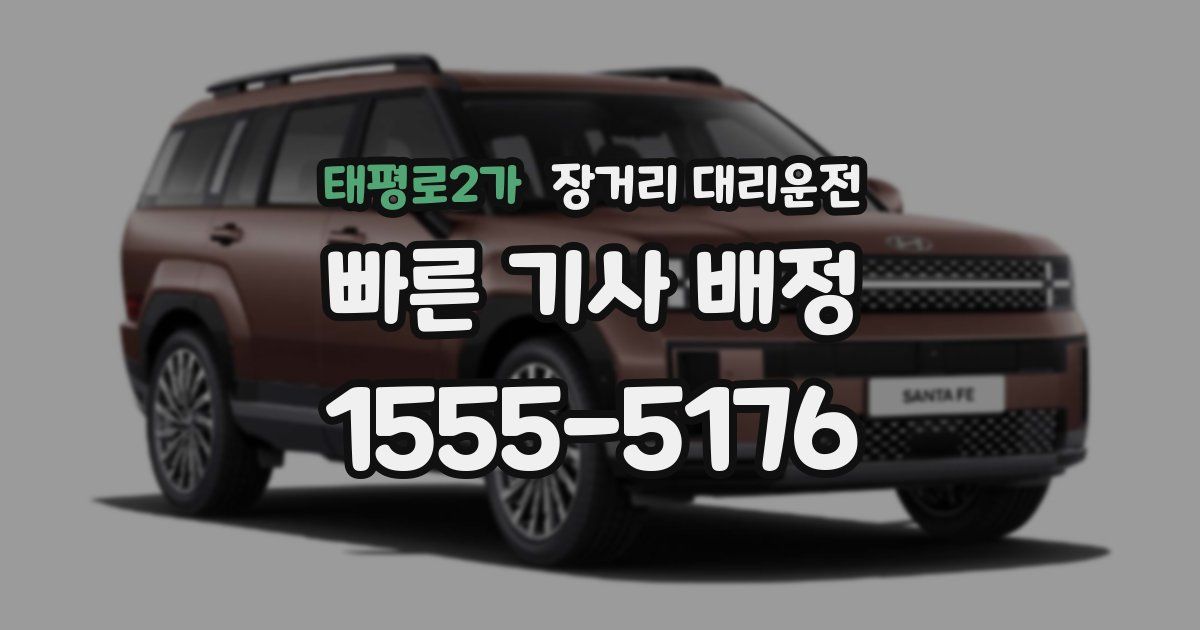 태평로2가 장거리 대리운전