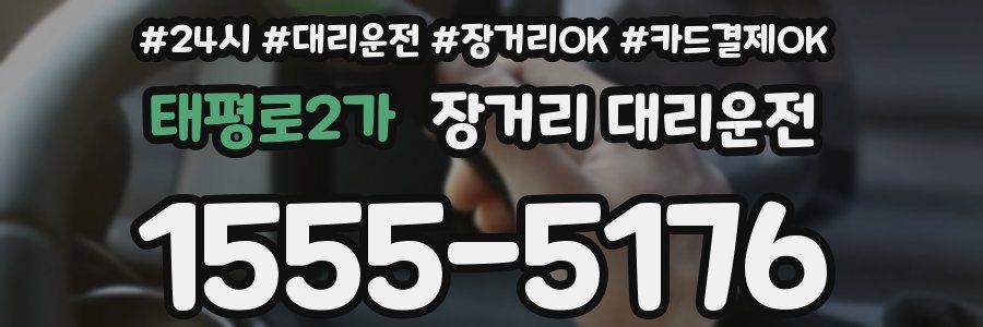 태평로2가 장거리 대리운전