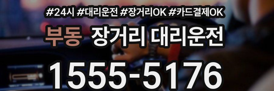 부동 장거리 대리운전