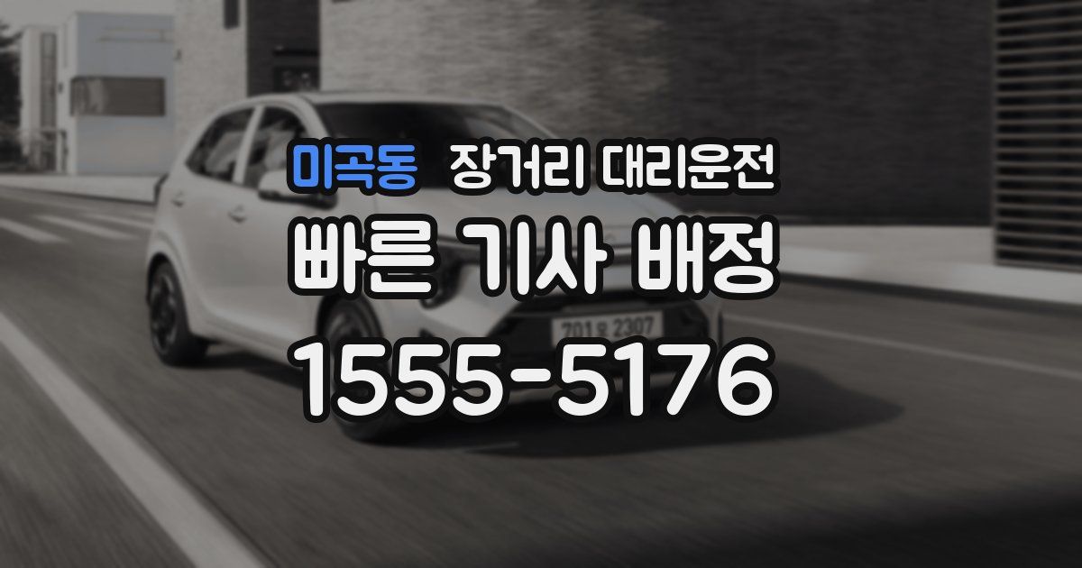 미곡동 장거리 대리운전