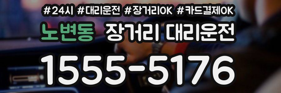 노변동 장거리 대리운전