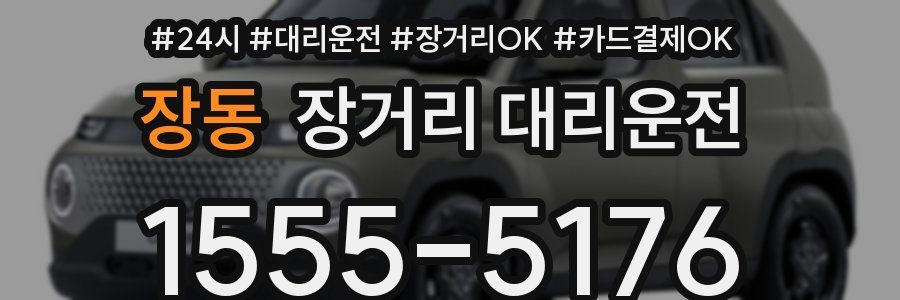 장동 장거리 대리운전