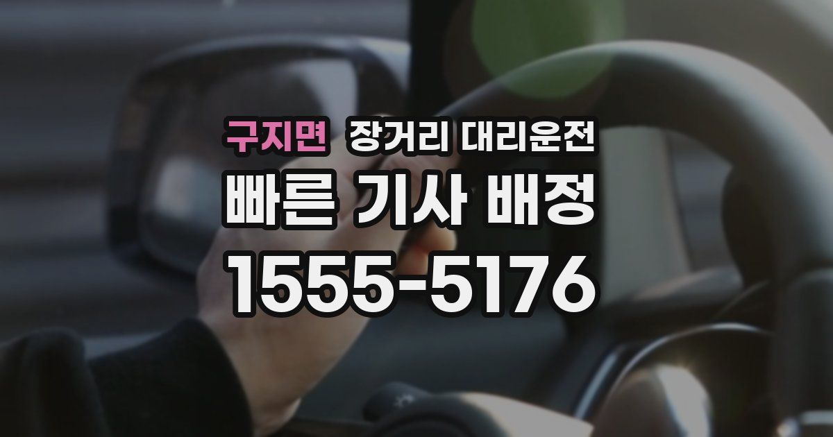 구지면 장거리 대리운전