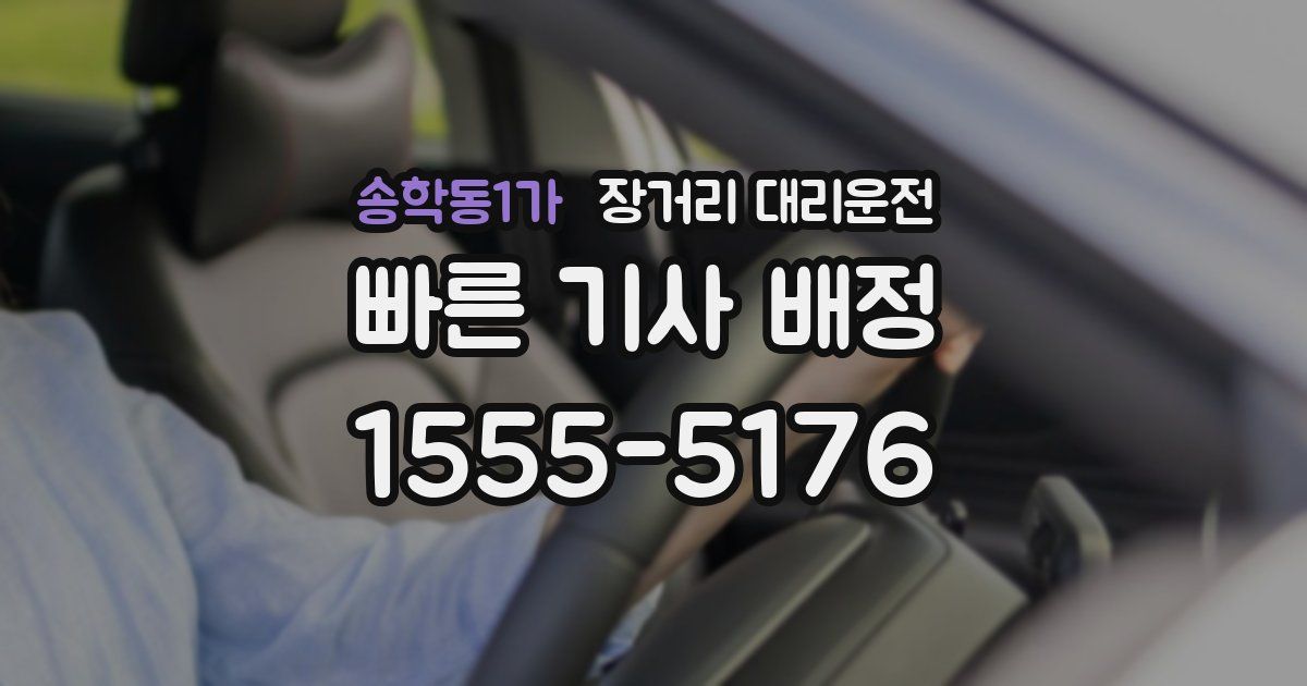 송학동1가 장거리 대리운전