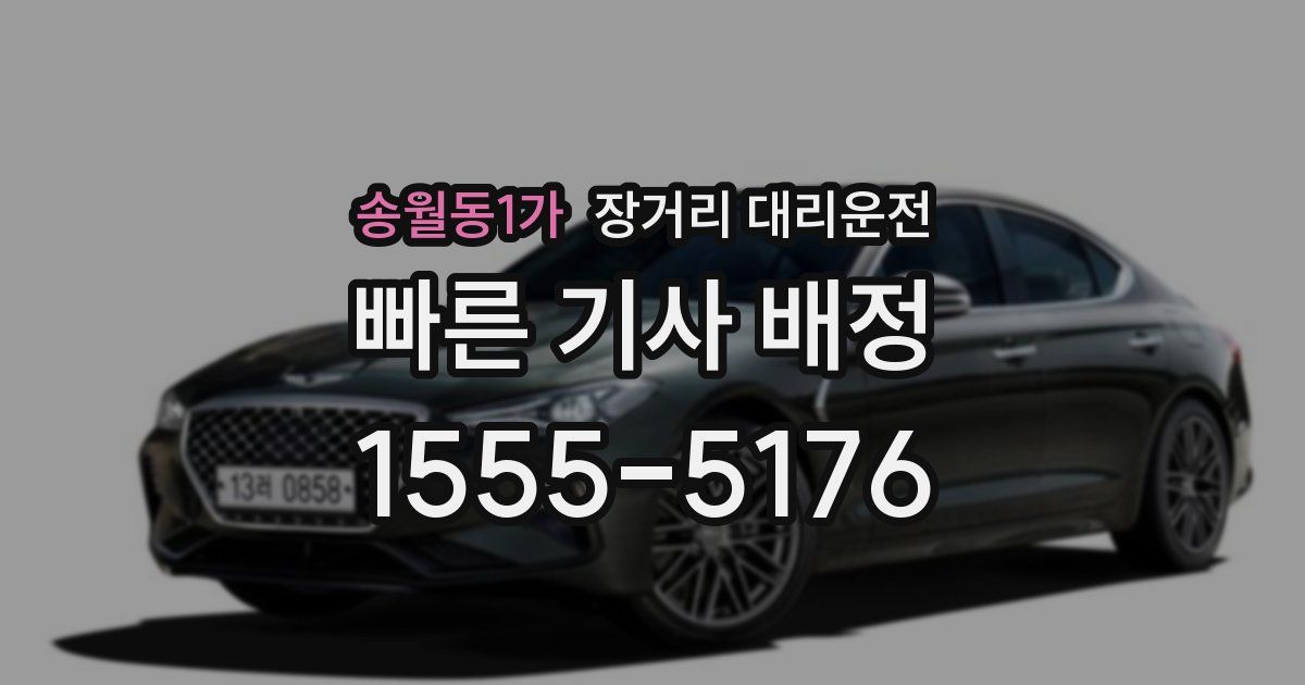 송월동1가 장거리 대리운전