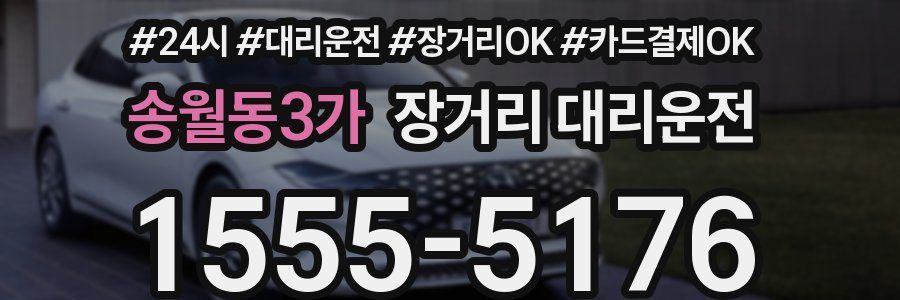 송월동3가 장거리 대리운전