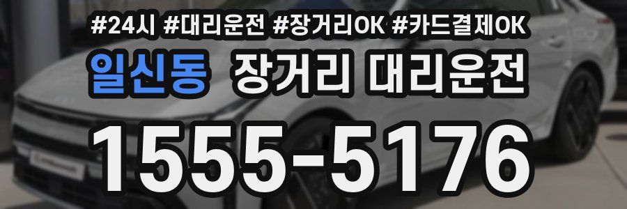 일신동 장거리 대리운전