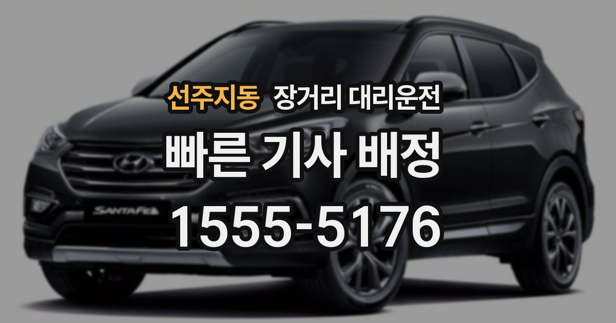 선주지동 장거리 대리운전