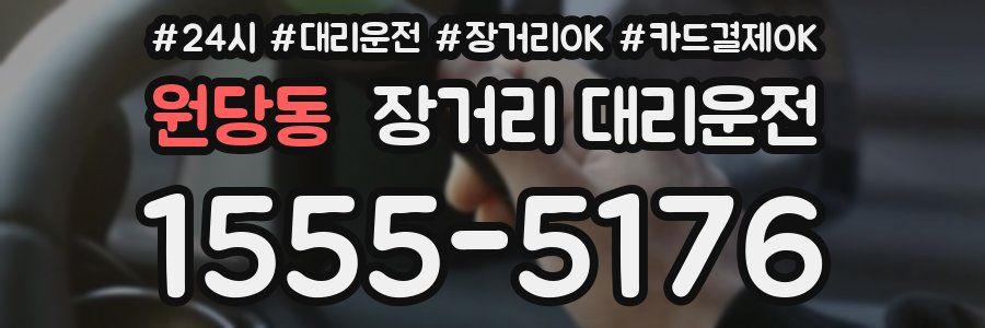 원당동 장거리 대리운전