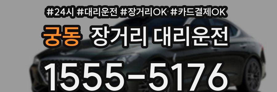 궁동 장거리 대리운전