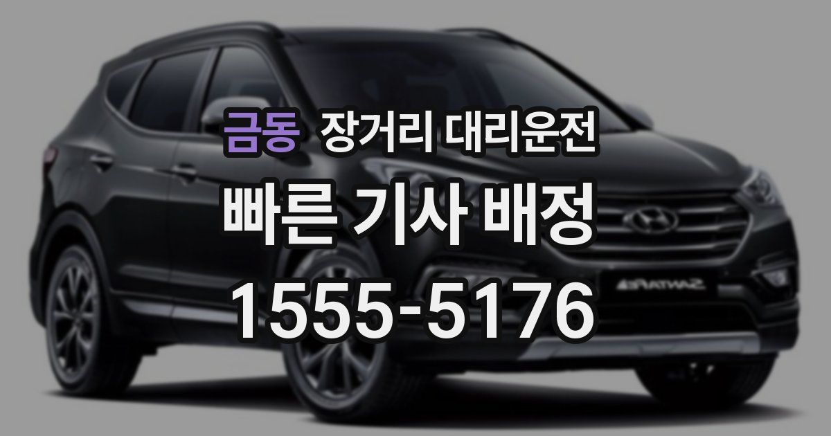 금동 장거리 대리운전
