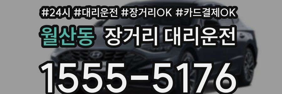 월산동 장거리 대리운전