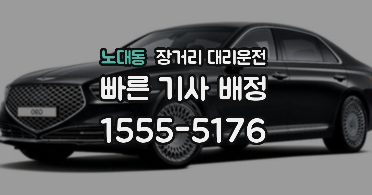 노대동 장거리 대리운전