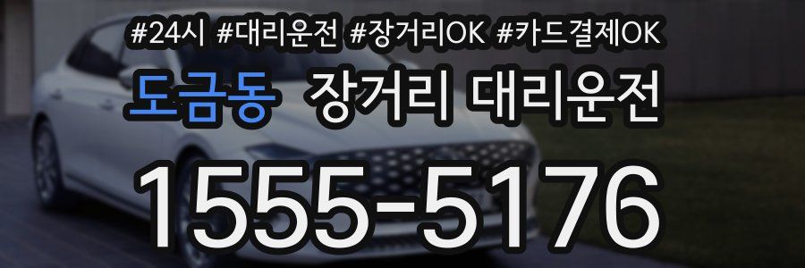 도금동 장거리 대리운전