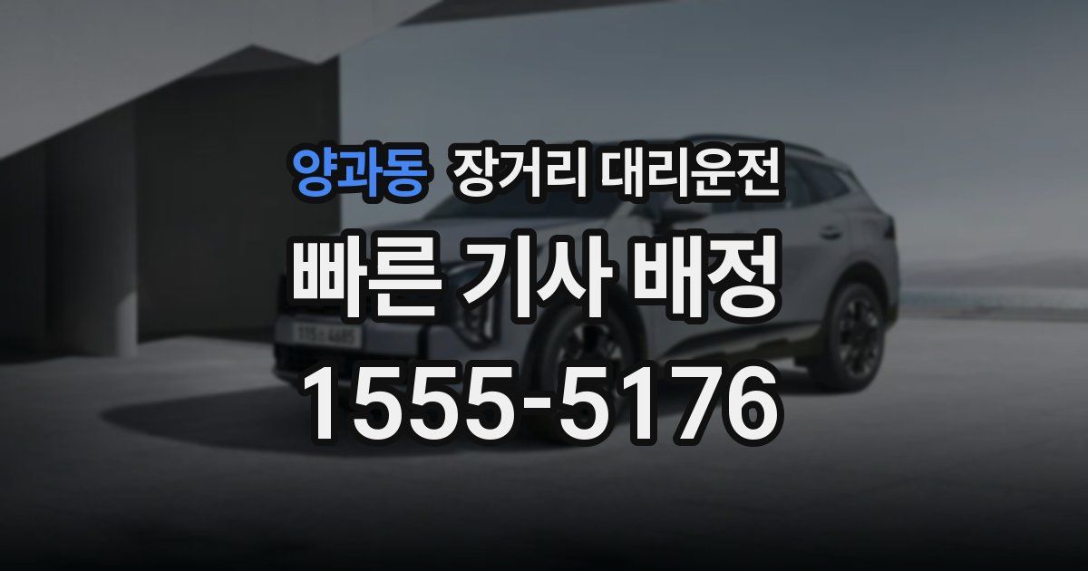 양과동 장거리 대리운전