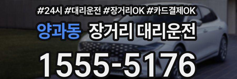 양과동 장거리 대리운전