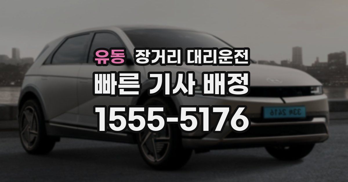 유동 장거리 대리운전