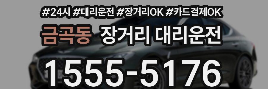 금곡동 장거리 대리운전