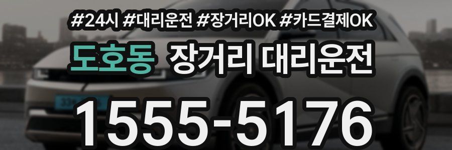도호동 장거리 대리운전