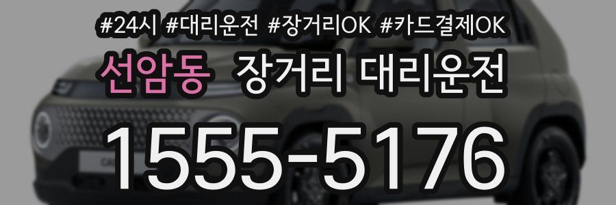 선암동 장거리 대리운전